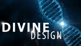 We Are Designed For Loving